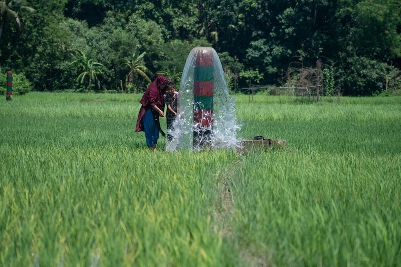 Năm 2022, ADB cung cấp 3,7 tỷ USD trong khuôn khổ chương trình an ninh lương thực trị giá 14 tỷ USD của mình, cung cấp cứu trợ lương thực thiết yếu cho những người cần hỗ trợ nhất và tăng cường các hệ thống sản xuất lương thực. (Ảnh minh họa: ADB)