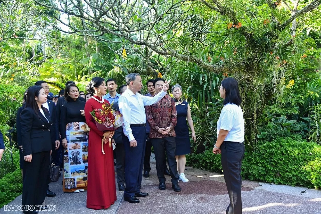 Lễ đặt tên cho hoa phong lan   nghi lễ ngoại giao đặc biệt Singapore dành cho Tổng Bí thư Tô Lâm và Phu nhân