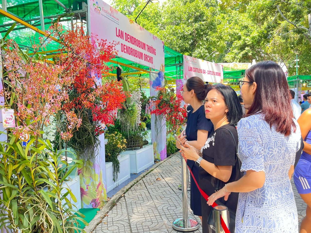 Lễ hội hoa lan hoành tráng nhất TP HCM: Có gì ở